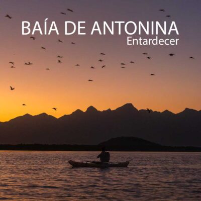 baiatarde baiatarde